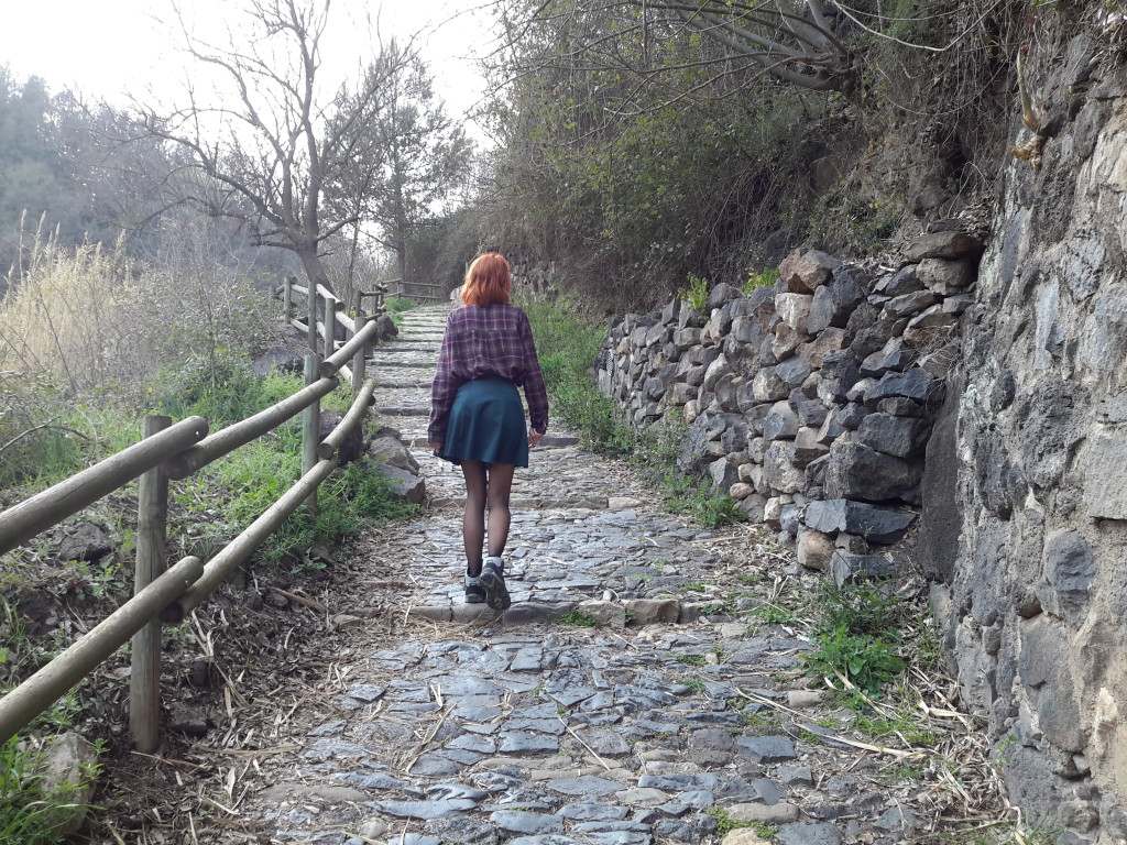 Passejant per Castellfollit de la Roca...