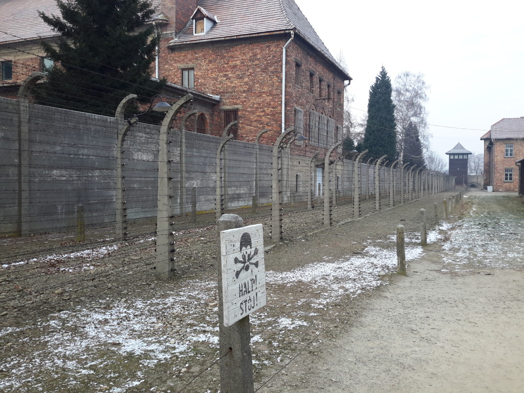 Alambradas electrificadas en Auschwitz.