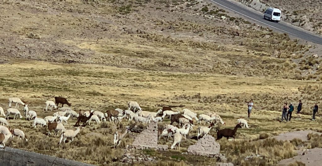 Vistas durante la ruta de Chivay a Puno, Perú.